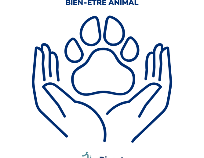 Création d’un conseil consultatif du bien-être animal
