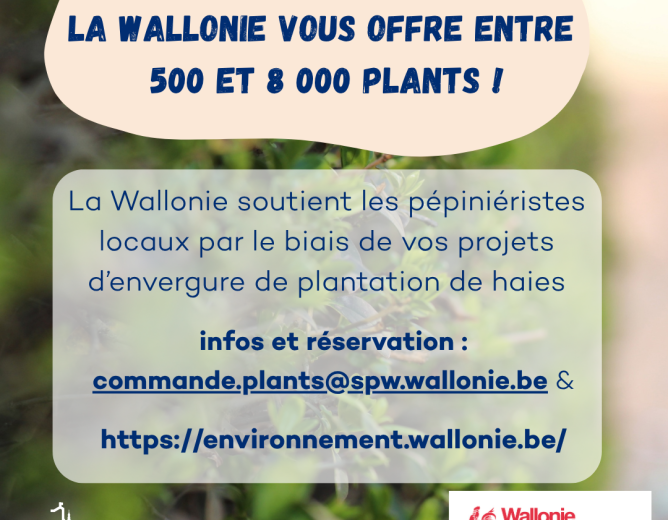 𝑳𝒂 𝑾𝒂𝒍𝒍𝒐𝒏𝒊𝒆 𝒗𝒐𝒖𝒔 𝒐𝒇𝒇𝒓𝒆 𝒆𝒏𝒕𝒓𝒆 500 𝒆𝒕 8 000 𝒑𝒍𝒂𝒏𝒕𝒔 !