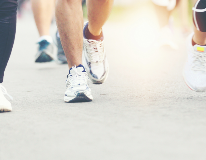 Promusport démarre une nouvelle saison à Dinant et Anseremme !