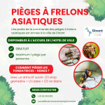 Pièges à frelons asiatiques