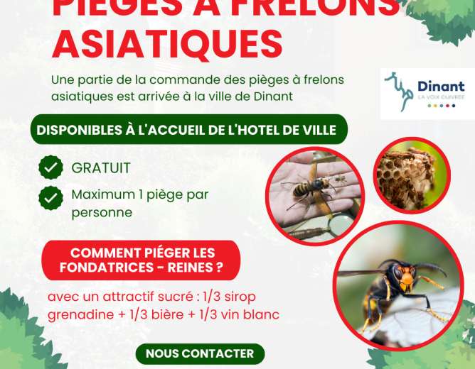 Pièges à frelons asiatiques