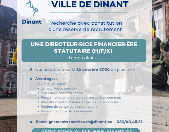 Offre d’emploi – un·e Directeur·rice financier·ère statutaire (H/F/X) – Temps plein